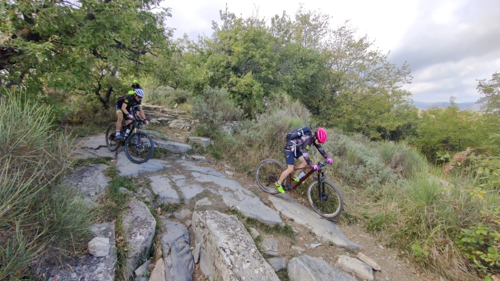 MTB Training